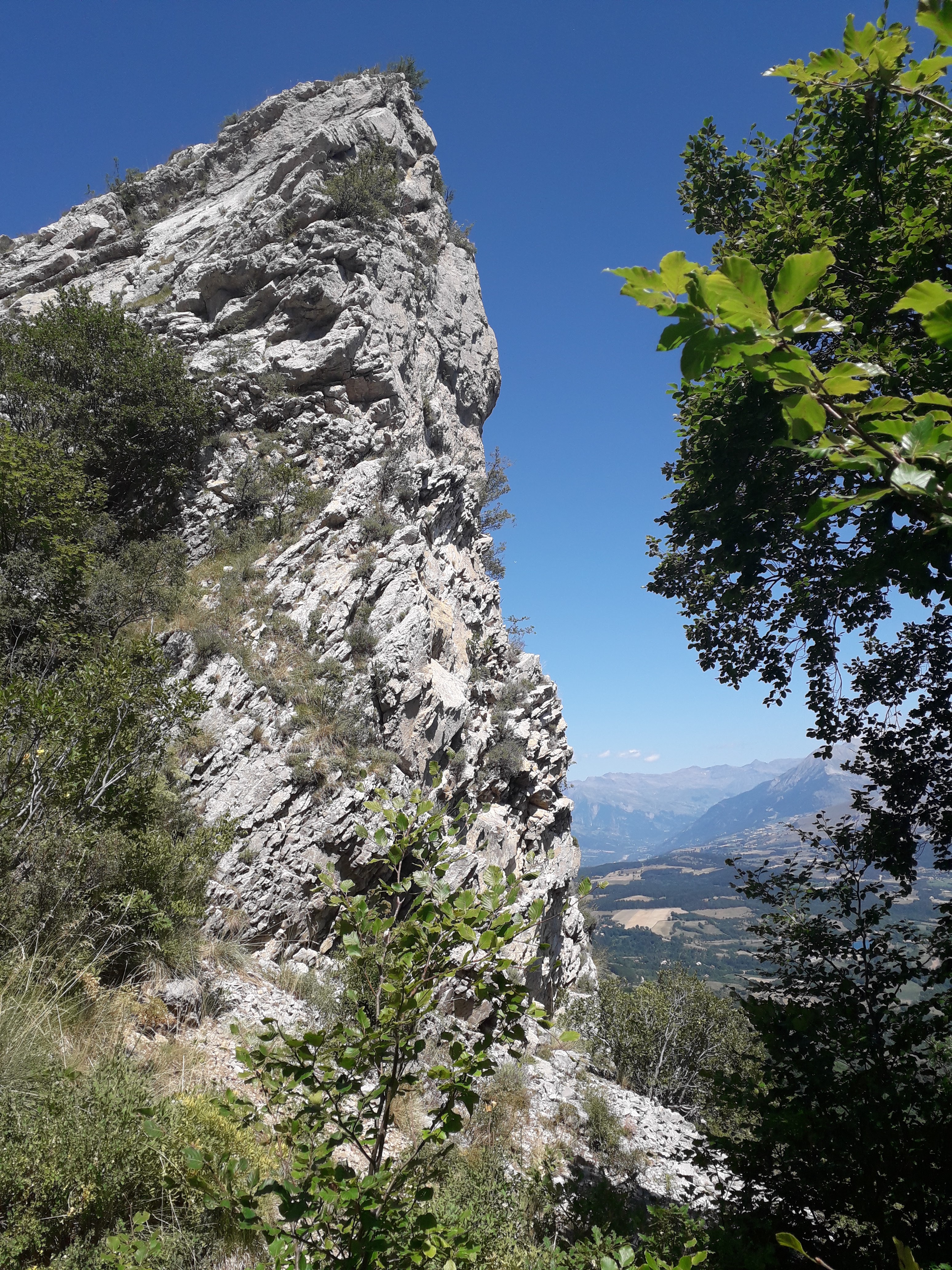 Photo n° 3 de l'avis de relax.� fait le 04/08/2019 à 14:52