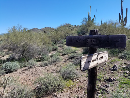 Bicycle Repair Shop «Two Wheel Jones Bicycles - Mesa», reviews and photos, 2837 N Power Rd #110, Mesa, AZ 85215, USA