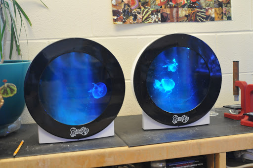 Aquarium «Jellyfish Art», reviews and photos, 4801 Johnson Rd Suite 10, Coconut Creek, FL 33073, USA