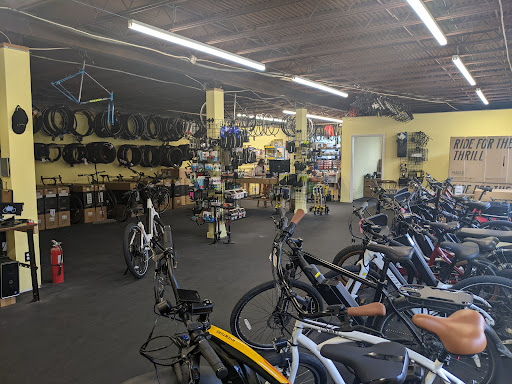 The Freewheel Bike Shop