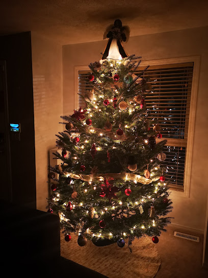 Calgary Christmas Tree