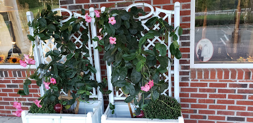 Bridal Shop «Sew N Sew Bridal & Tuxedo», reviews and photos, 191 NJ-15 #108, Lafayette Township, NJ 07848, USA