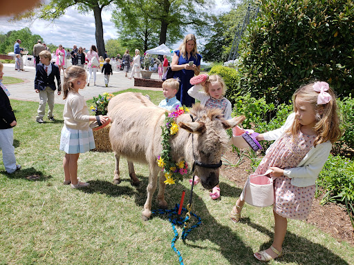 Pony Ride Service «Animals Unlimited LLC est 1996 travelling petting zoo/pony rides/travelling exotic animal programs .», reviews and photos, 16805 Mountain Rd, Montpelier, VA 23192, USA