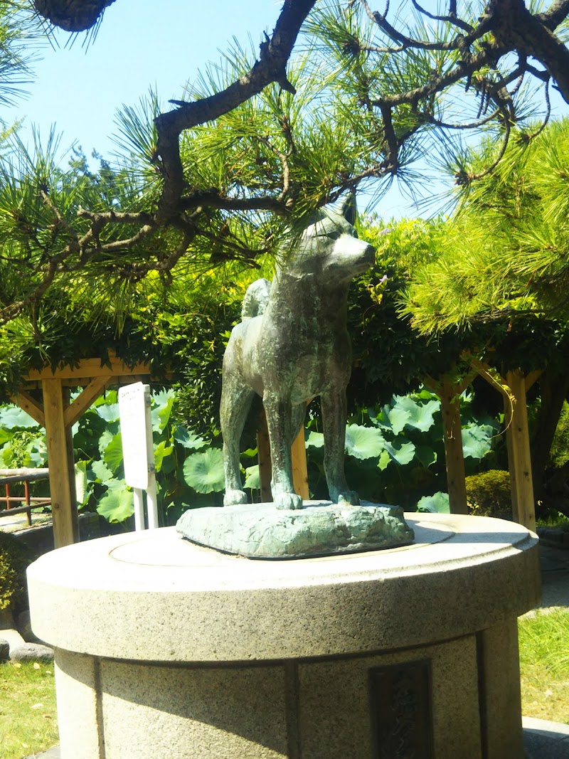 忠犬タマ公像
