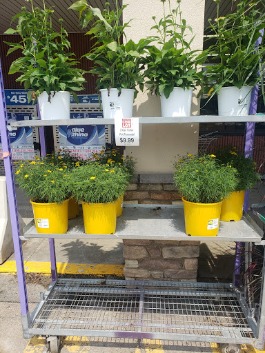 Discount Store «Ocean State Job Lot», reviews and photos, 230 E Main St, Marlborough, MA 01752, USA