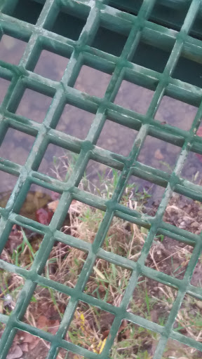 Tourist Attraction «Funky Bones», reviews and photos, 1850 38th St, Indianapolis, IN 46218, USA