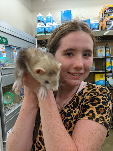 Pet Supply Store «Pet Supplies Plus», reviews and photos, 1155 Washington Pike, Bridgeville, PA 15017, USA