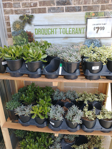 Grocery Store «The Fresh Market», reviews and photos, 1500 Peachtree Industrial Blvd, Suwanee, GA 30024, USA