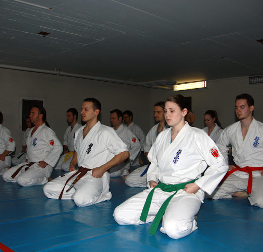 Kommentare und Rezensionen über Karate Club Oftringen