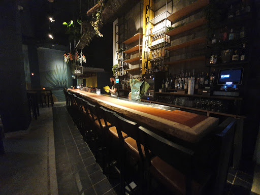 Cocktailbar & Restaurant Botanero