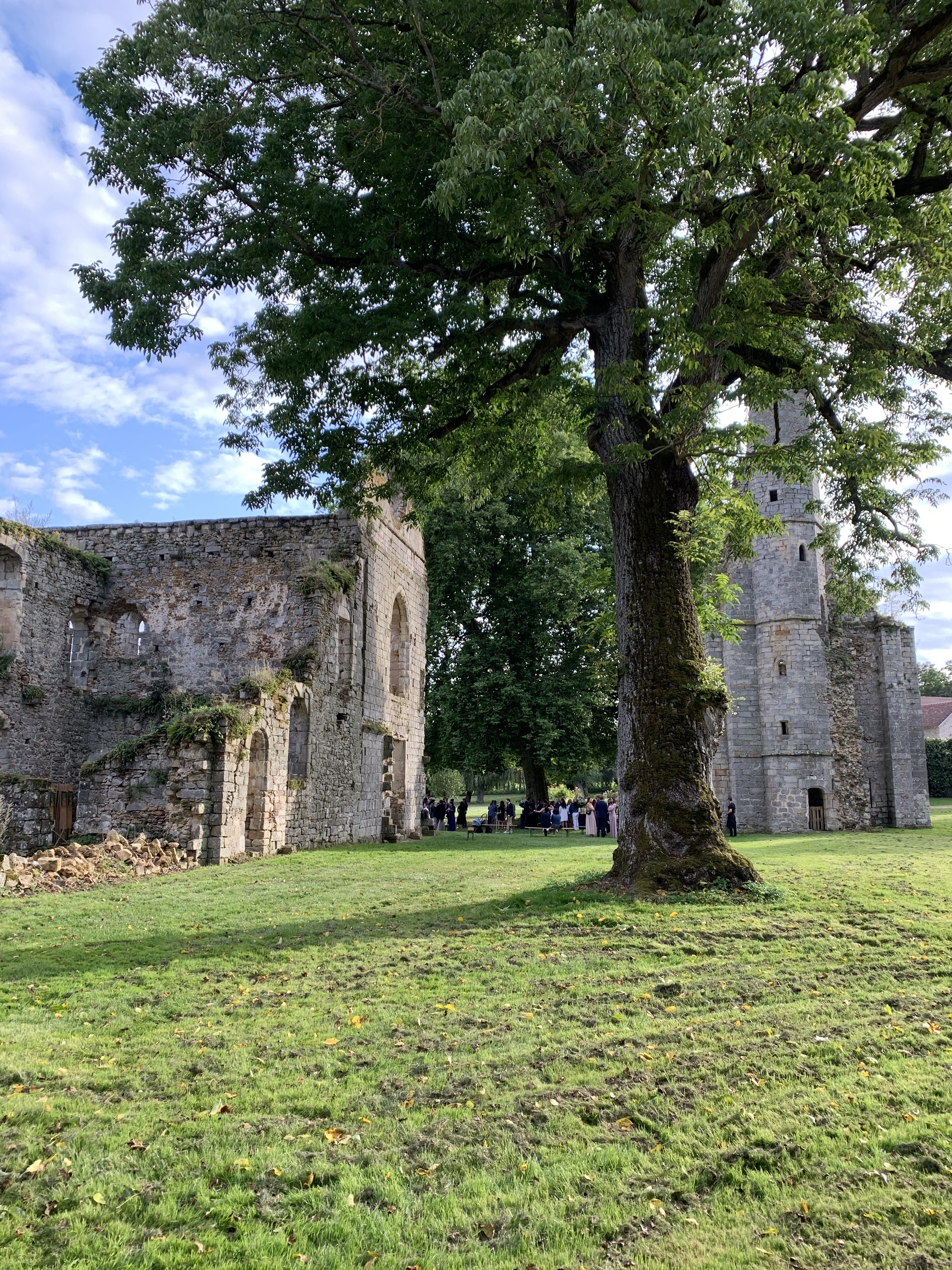 Photo n° 7 de l'avis de Matthieu.g fait le 29/08/2021 à 15:54