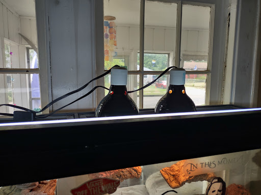 Pet Store «Moby Dick Pet Store Inc», reviews and photos, 3700 Sashabaw Rd, Waterford Twp, MI 48329, USA