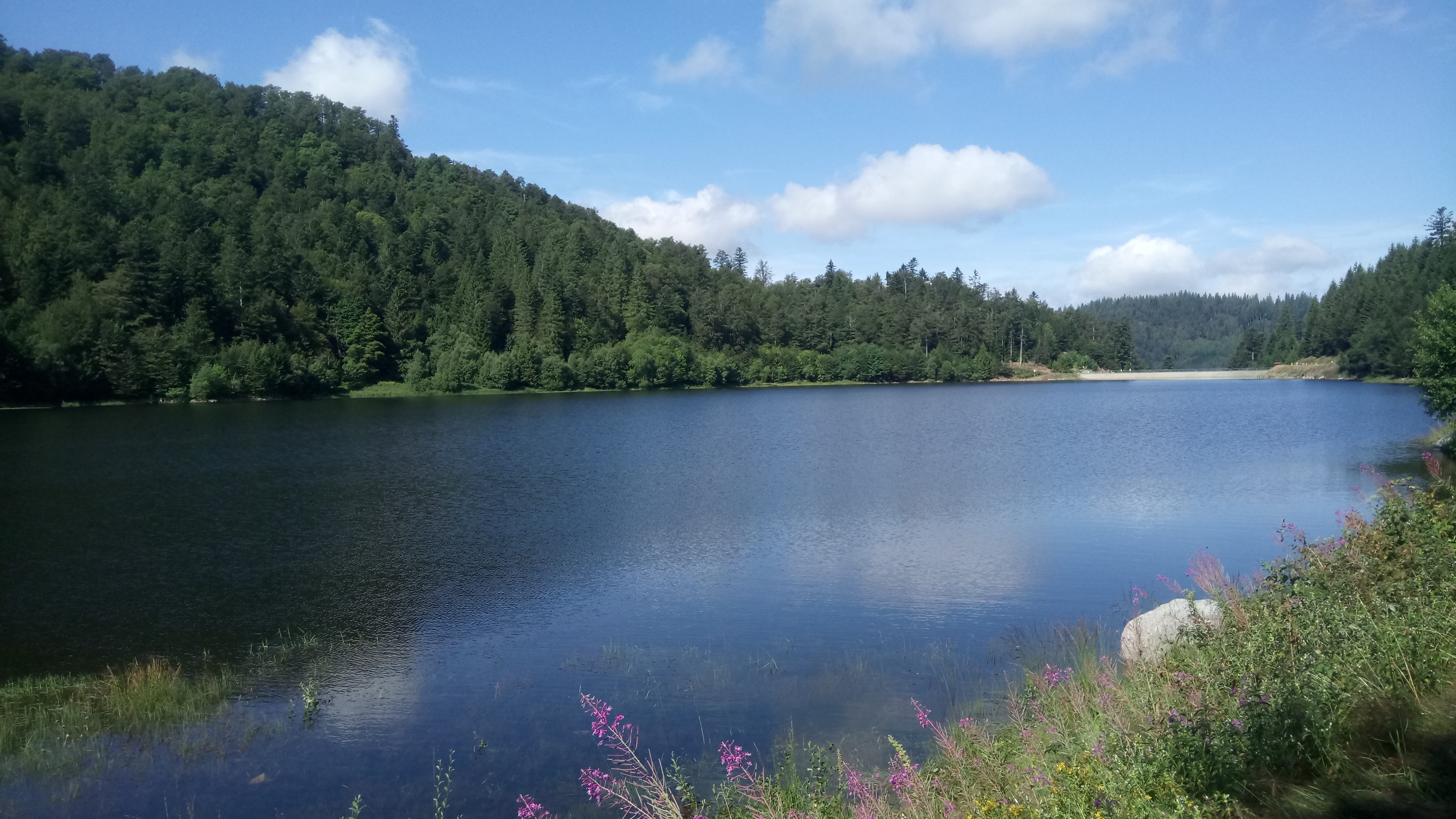 Photo n° 4 de l'avis de Stéphanie.f fait le 04/08/2019 à 16:47
