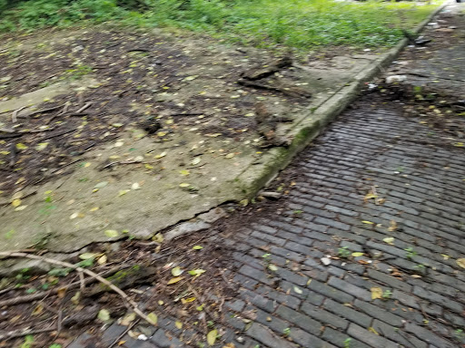 Park «Inwood Park», reviews and photos, 2308 Vine St, Cincinnati, OH 45219, USA