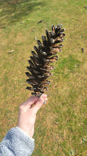 Army Museum «Lewis Army Museum», reviews and photos, 4320 Main St. and Constitution Dr, Joint Base Lewis-McChord, WA 98433, USA