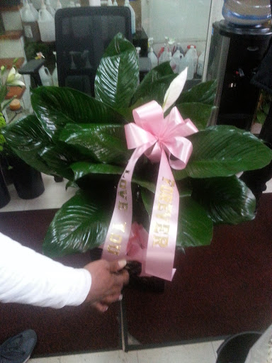 Florist «The Flower Pot & Basket Shop», reviews and photos, 5631 W Madison St, Chicago, IL 60644, USA