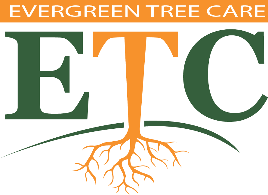 Evergreen Tree Care, Inc.