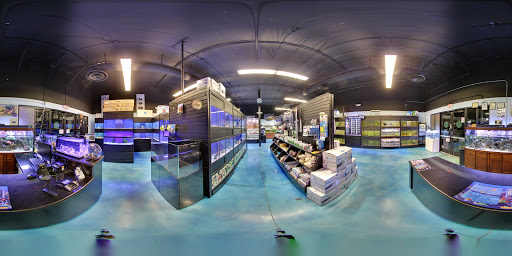 Tropical Fish Store «Pisces Reef Fish Emporium, LLC», reviews and photos, 9326 W Sahara Ave, Las Vegas, NV 89117, USA