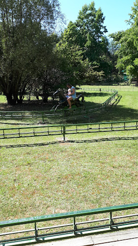 Les chevaux galopants à Le Bugue