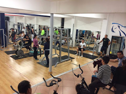 Cima Sport Gym - Séptima 114, Netzahualcóyotl, 33860 Hidalgo del Parral, Chih., Mexico