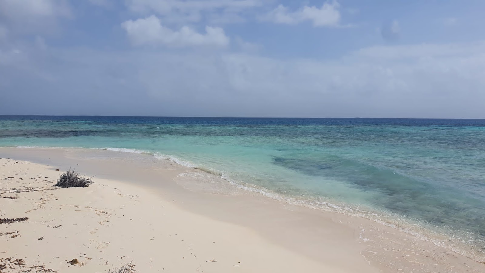 Foto de Playa de la Isla del Gran Perro con muy limpio nivel de limpieza