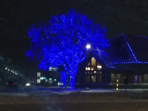 Bank «Gate City Bank», reviews and photos