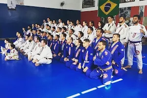 Gracie Barra Bueno image