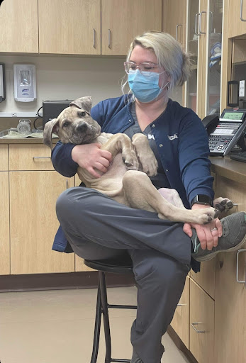 VCA Lafayette Animal Hospital image