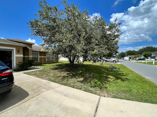 Supermarket «Publix Super Market at The Promenade», reviews and photos, 841 Cypress Pkwy, Poinciana, FL 34759, USA