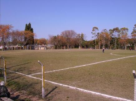 Parque Indart - Río Negro