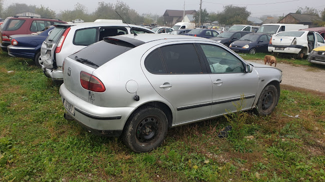 orar Dezmembrari Auto Bacău STARpieseauto (PROGRAMUL RABLA)