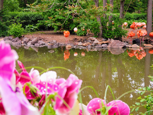 Zoo «Denver Zoo», reviews and photos, 2300 Steele St, Denver, CO 80205, USA