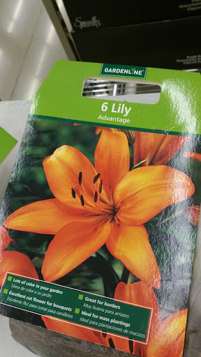 Supermarket «ALDI», reviews and photos, 14620 Greyhound Plaza, Carmel, IN 46032, USA