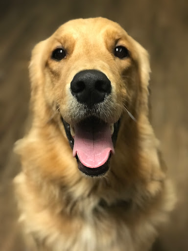 Pet Supply Store «PetSmart», reviews and photos, 2017 N Prospect Ave, Champaign, IL 61822, USA