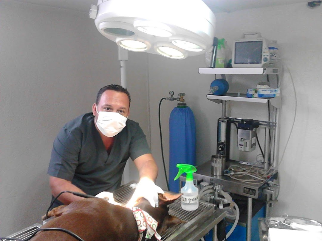 Veterinaria Doctor Bigotes Tarjeta Profesional Del Medico 27216 De Comvezcol