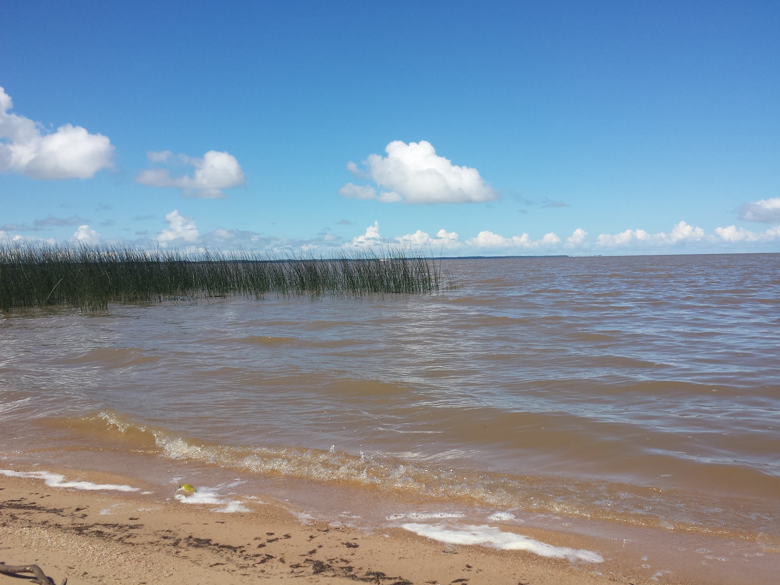 Photo de Praia do Pinvest et le règlement