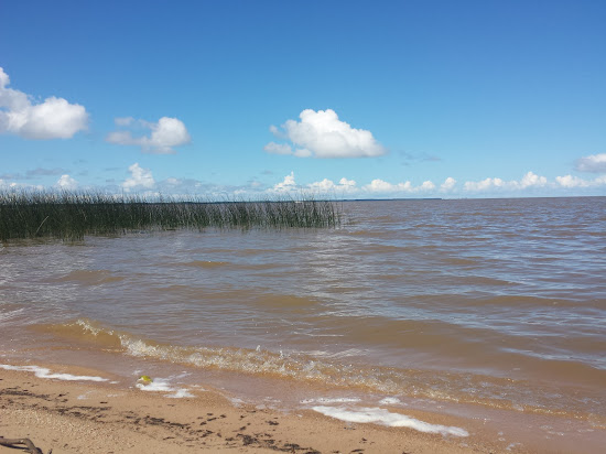Praia do Pinvest