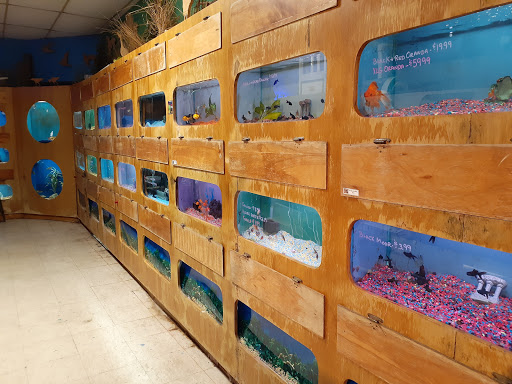 Pet Store «Forever Pets Inc», reviews and photos, 1030 Basse Rd, San Antonio, TX 78212, USA