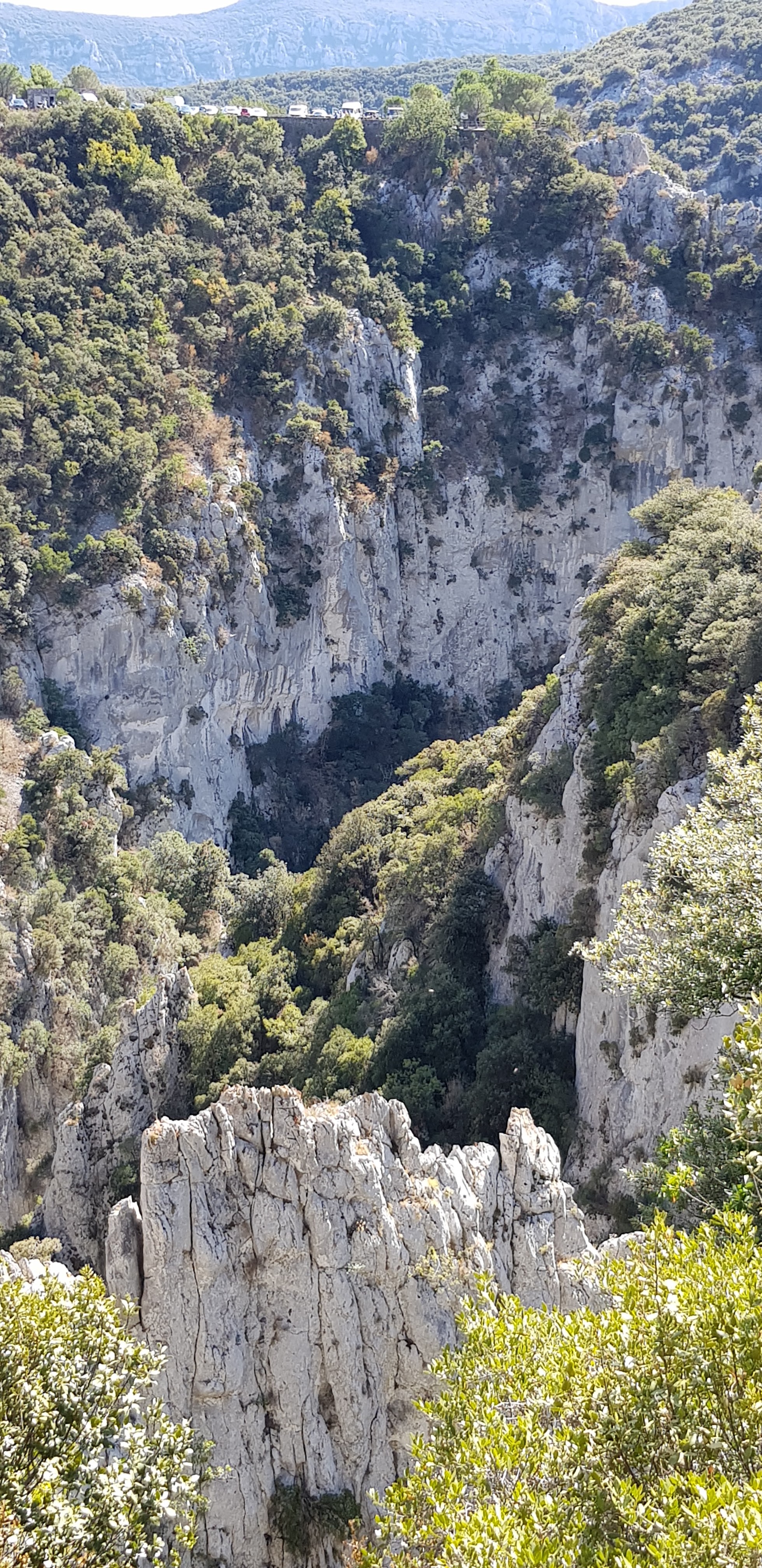 Photo n° 2 de l'avis de Dom.o fait le 06/09/2019 à 15:57