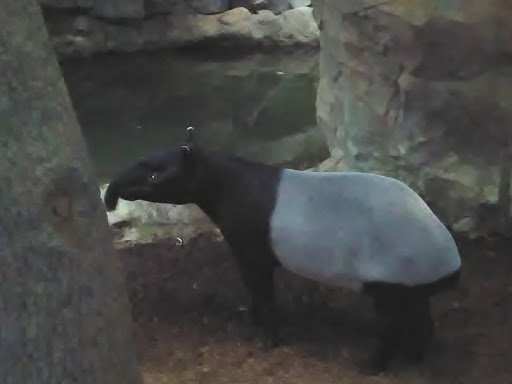 Gift Shop «Minnesota Zoo Gift Shop», reviews and photos, 13000 Zoo Blvd, Apple Valley, MN 55124, USA