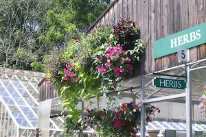 Gilbertie's Herbs and Garden Center image