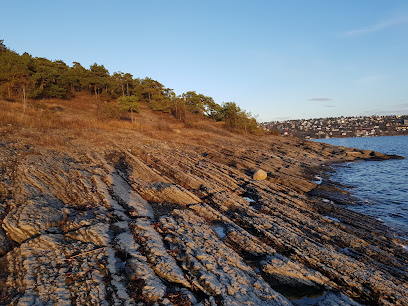 Malmøya og Malmøykalven naturreservat