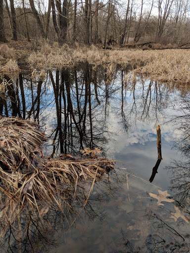 Nature Preserve «Tom S Cooperrider-Kent Bog State Nature Preserve», reviews and photos, 1028 Meloy Rd, Kent, OH 44240, USA