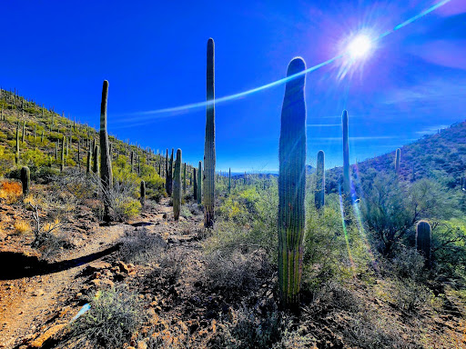 Hidden Canyon Trail