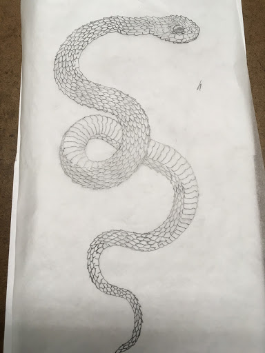 Tattoo Shop «True Blue Tattoo», reviews and photos, 607 Red River St, Austin, TX 78701, USA