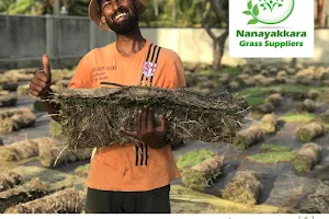 Nanayakkara Grass Suppliers image