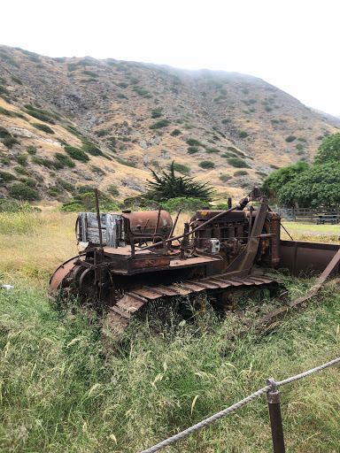 National Park «Channel Islands National Park», reviews and photos