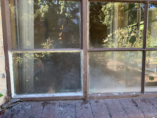 Salgado The Window Washer