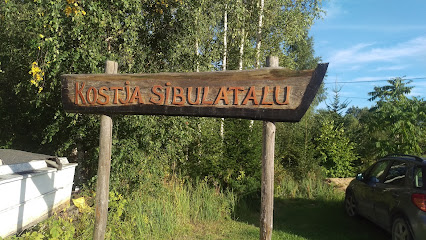 Kostja Sibulatalu