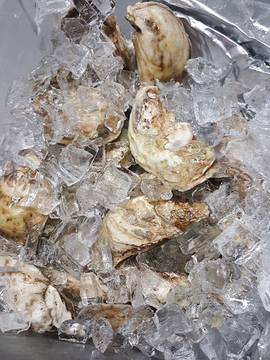 Event Venue «Saugerties Steamboat Co.», reviews and photos, 2 Ferry St, Saugerties, NY 12477, USA